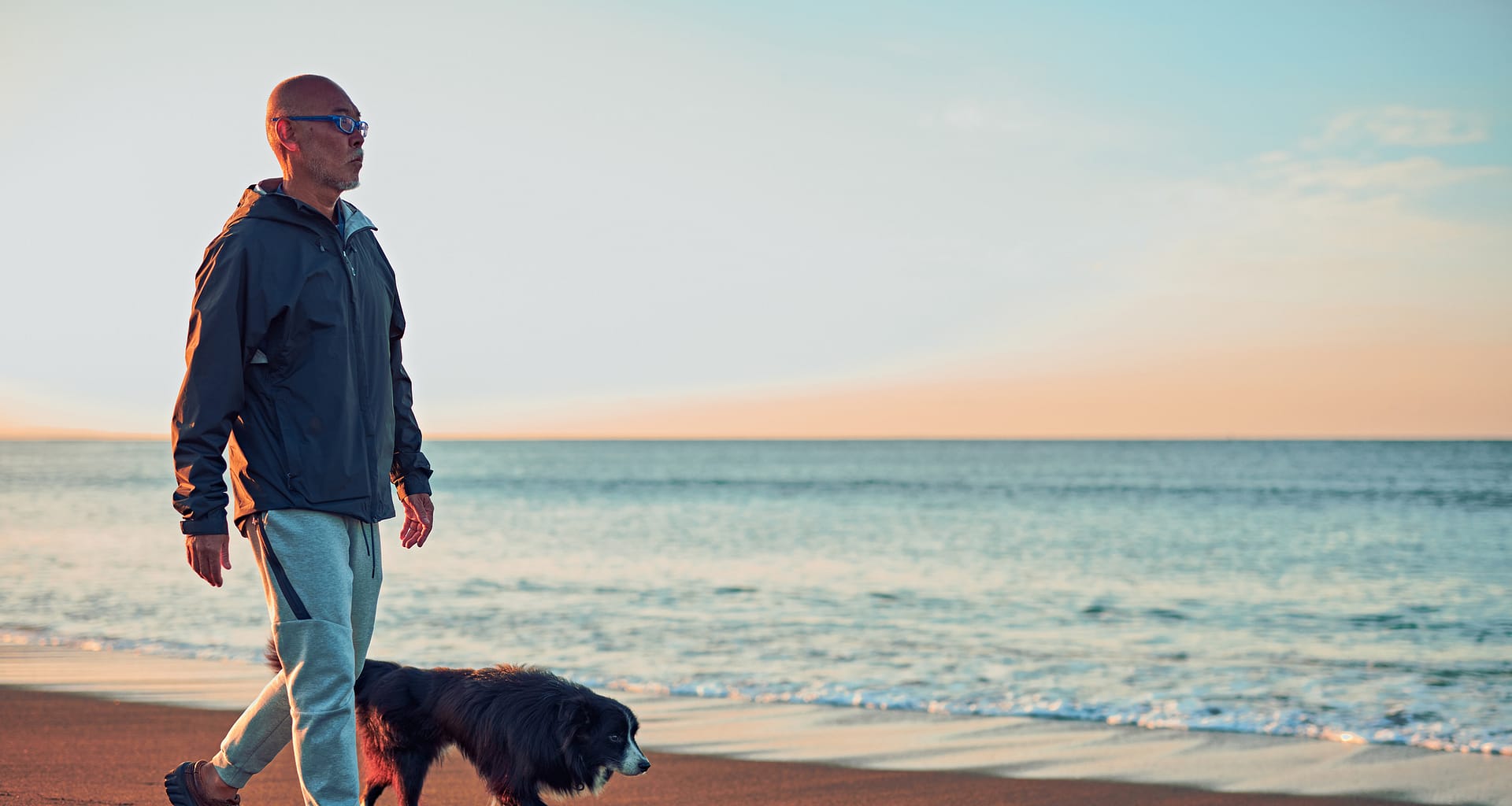 person walking on the beach with a dog zHYWF