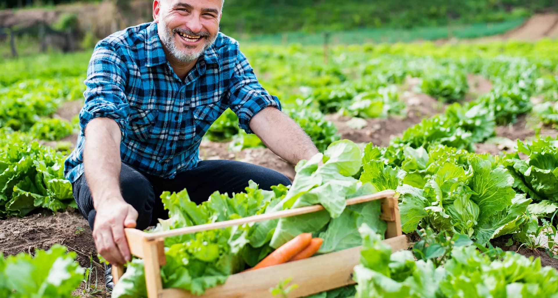 getty gardening smiling happy outdoors.jpg
