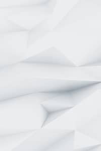 demo image 00004