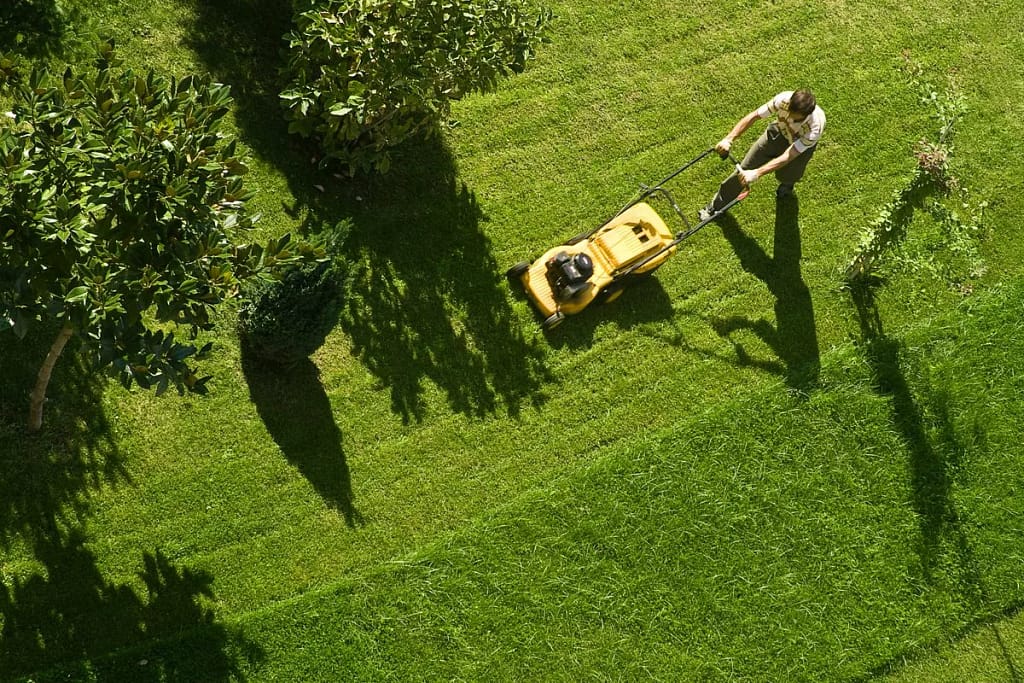 person mowing lawn AnTy.width .jpg