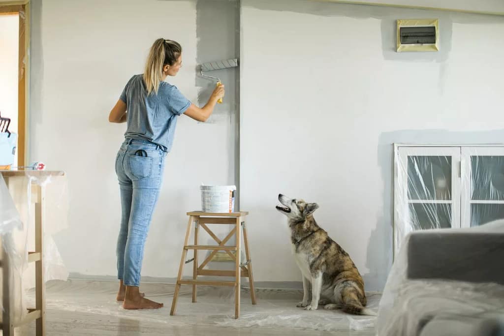 person painting wall in room zOZYi.width .jpg