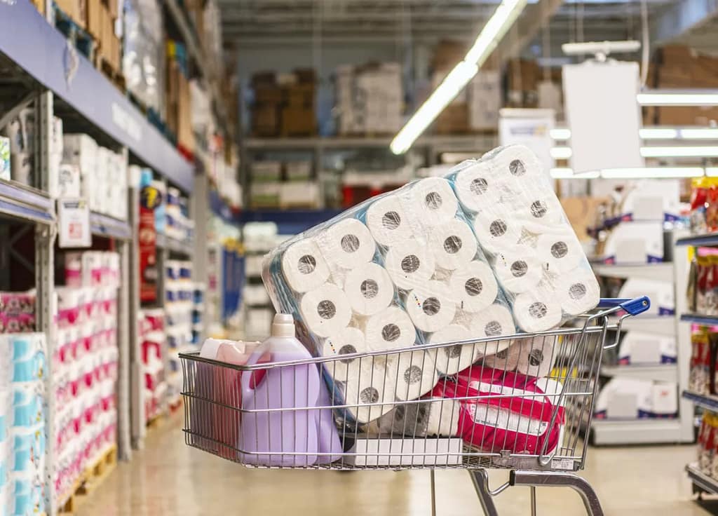 shopping cart full of cleaning products.width .jpg
