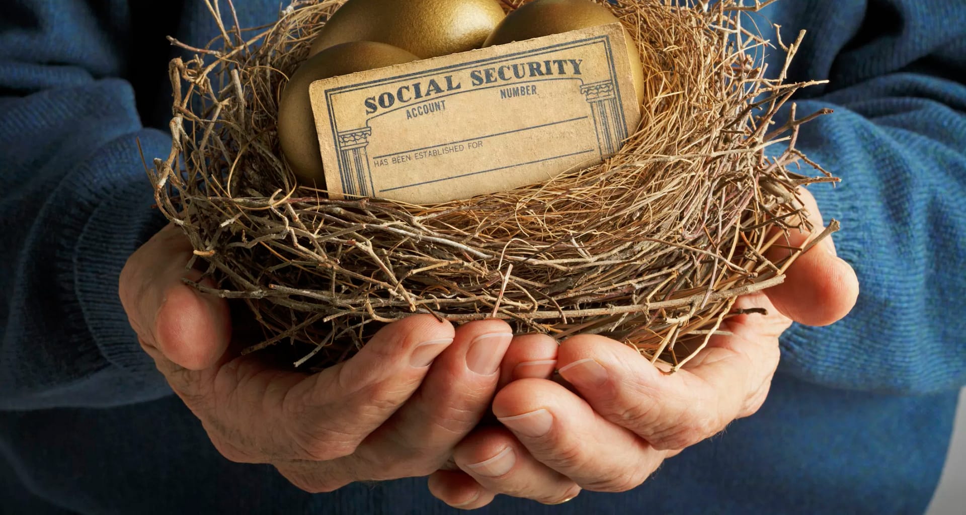 nest with golden eggs and social security card.jpg