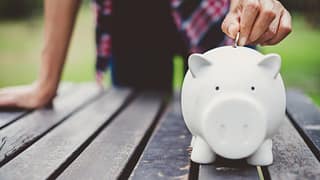 Coin in piggy bank on picnic table qhfpP.width
