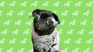 Untitled design muIEOAW.width .png