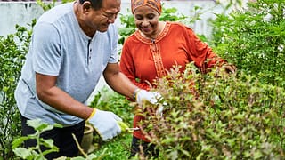 two people gardening HVXRcA.width .jpg