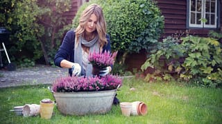 woman planting flowers enhM.width .jpg
