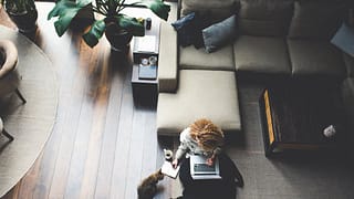 woman work from home with cat NZwXu.width .jpg