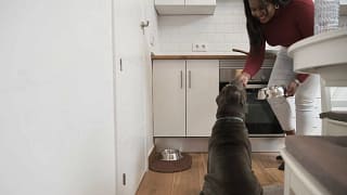 Feeding Dog in Kitchen sJVRZXa.width .jpg