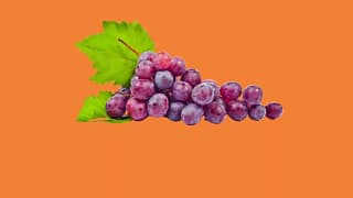 Groceries usIyBNz.width .jpg