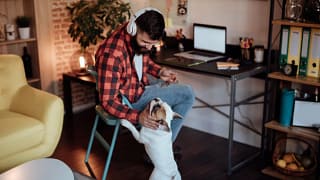 man work from home with dog.width .jpg