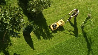 person mowing lawn AnTy.width .jpg