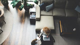 woman work from home with cat.width .jpg