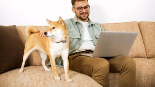 Man using laptop with his Shiba Inu dog besid.width VTxIaTW.jpg