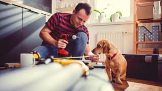 man and dog kitchen home renovation.width .jpg