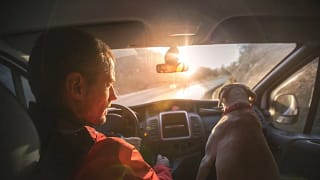 driving car with dog QBSk.width .jpg