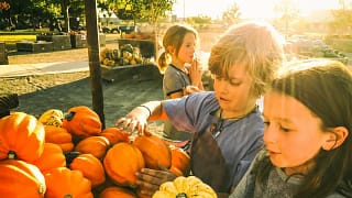 Children picking out pumpkins at a pumpkin pa.width Twwtqp.jpg