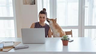 Shiba Inu dog giing owner a sniff while she u.width KYNz.jpg