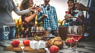 friends with wine and cheese in vineyard.width .jpg