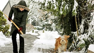 person shoveling snow with dog qnZlAc.width .jpg