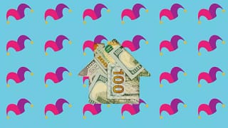 Jester money FjPfyG.width .jpg
