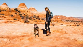 Woman hiking with dog in a southwest landscap.width JvErdj.jpg