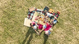 friends picnic on grass.width .jpg
