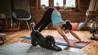 woman and dog doing yoga at home.width .jpg