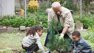 adult and two kids planting tree tKgvKn.width .jpg