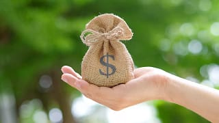 gettyimages money bag in palm.jpg