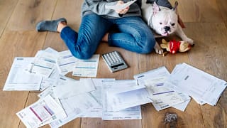 A French bulldog staring at a pile of bills i.width .jpg