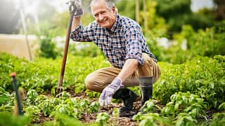 senior man gardening.jpg