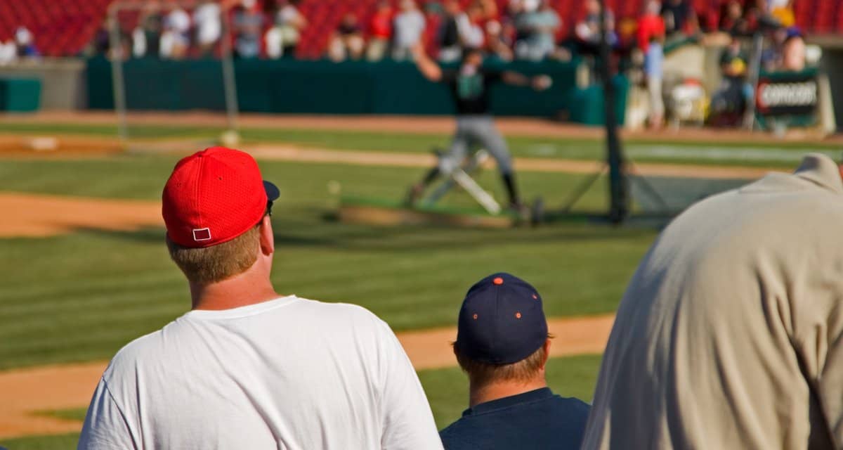 Baseball fans at a game ztEEpF.width .jpg
