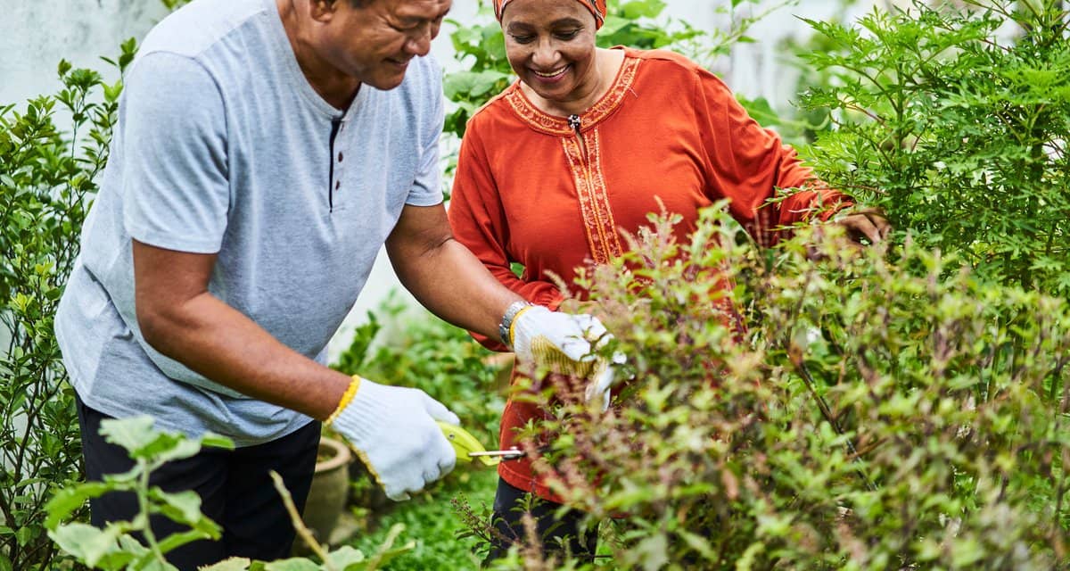 two people gardening HVXRcA.width .jpg