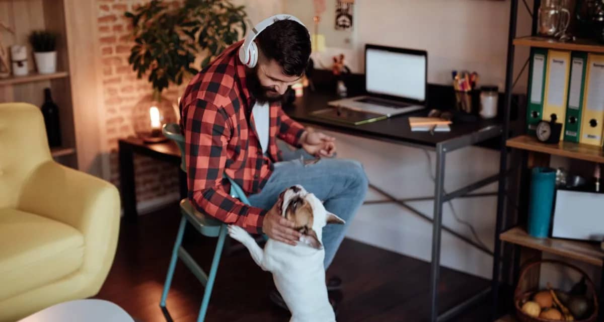man work from home with dog.width .jpg