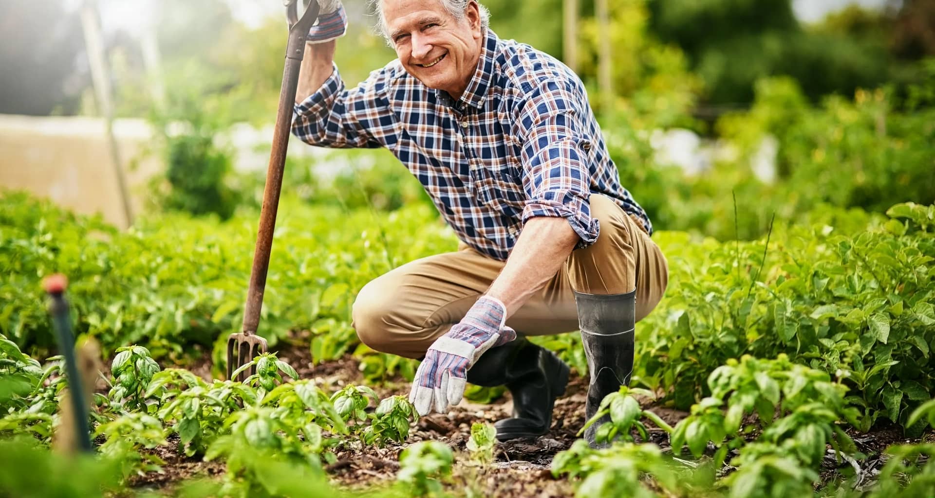 senior man gardening.jpg