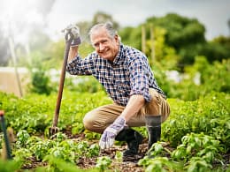 senior man gardening.jpg