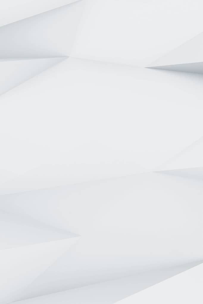 demo image 00005