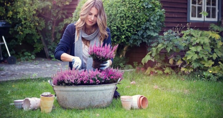 woman planting flowers enhM.width .jpg