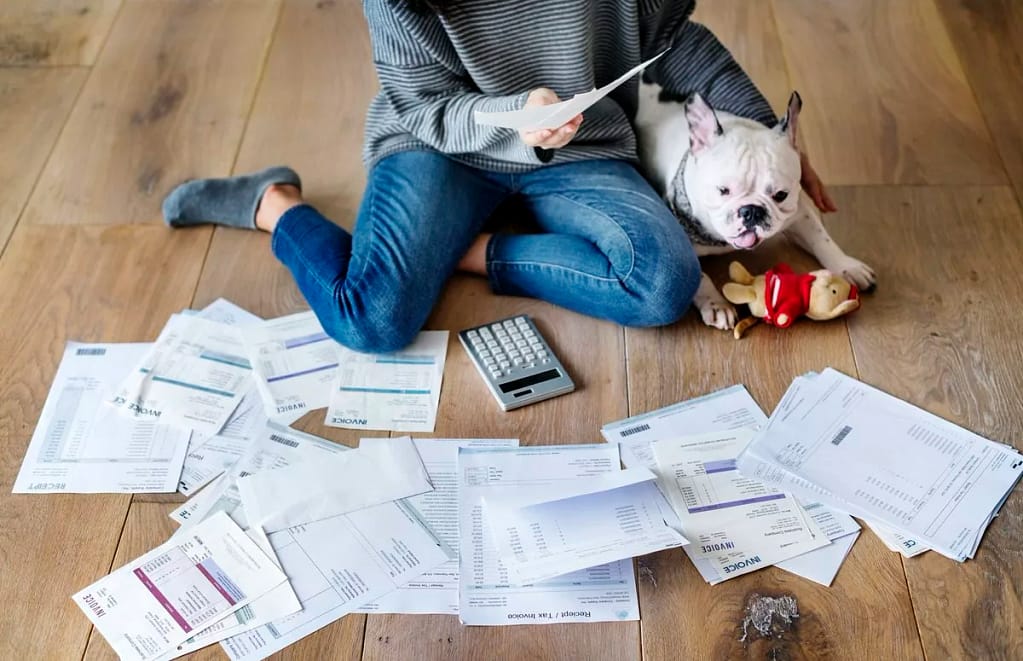 A French bulldog staring at a pile of bills i.width .jpg
