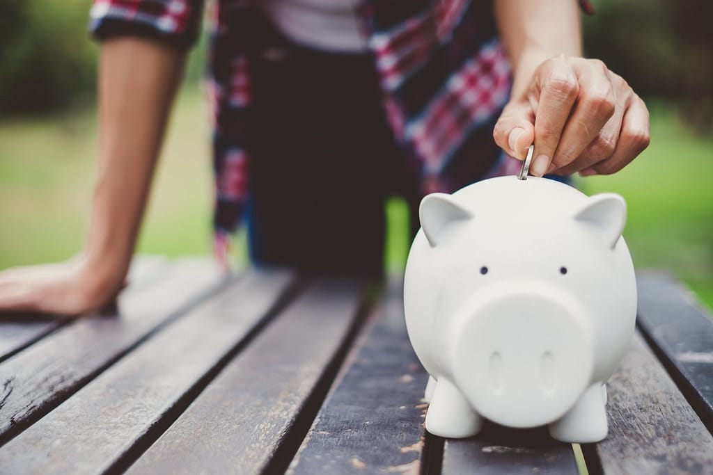 Coin in piggy bank on picnic table qhfpP.width