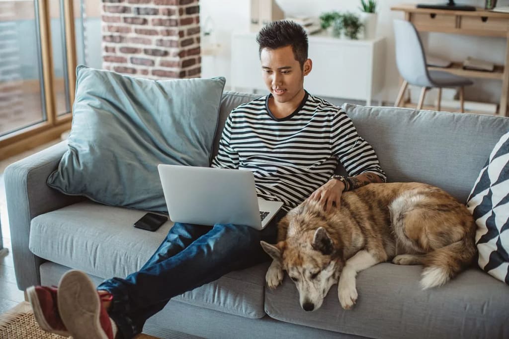 young man on laptop on couch with dog Lvpg.width .jpg