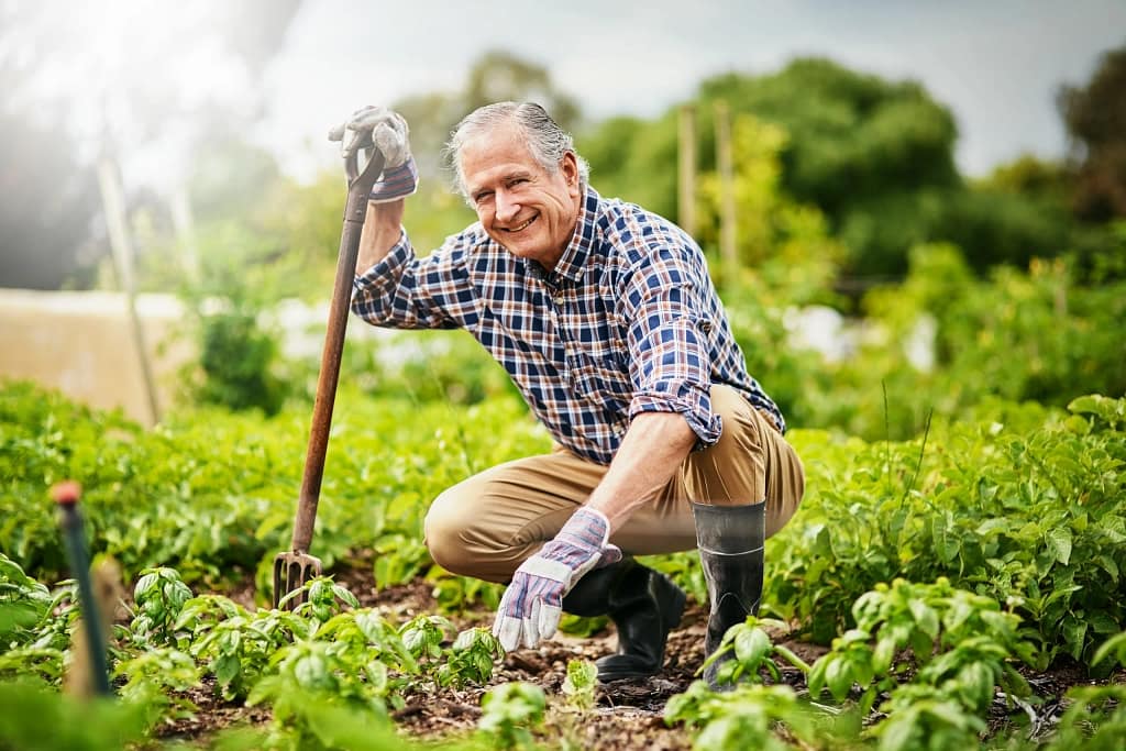 senior man gardening.jpg