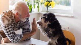 senior man with dog retired TRSb