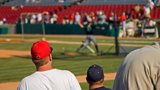 Baseball fans at a game ztEEpF.width .jpg