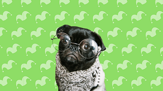Untitled design muIEOAW.width .png