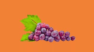 Groceries usIyBNz.width .jpg