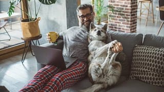 man and dog on couch with laptop mUnTuRP.width .jpg