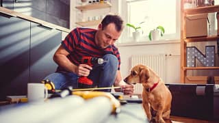 man and dog kitchen home renovation.width .jpg