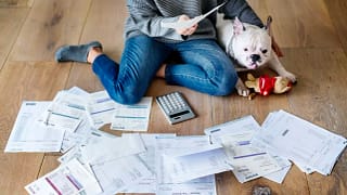 A French bulldog staring at a pile of bills i.width .jpg